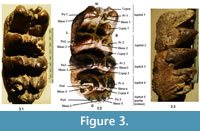 s figure3