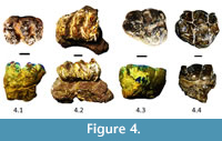 s figure4