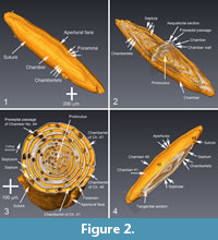 s figure2