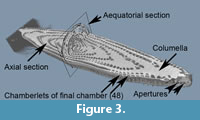 s figure3