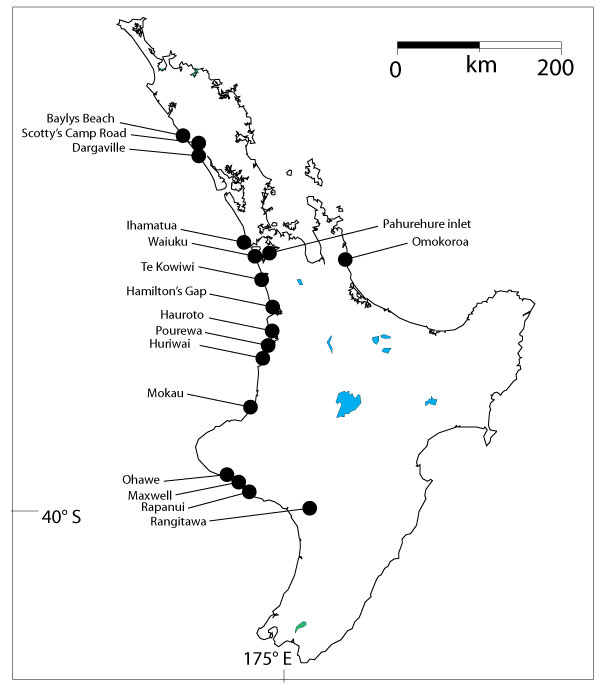 figure1