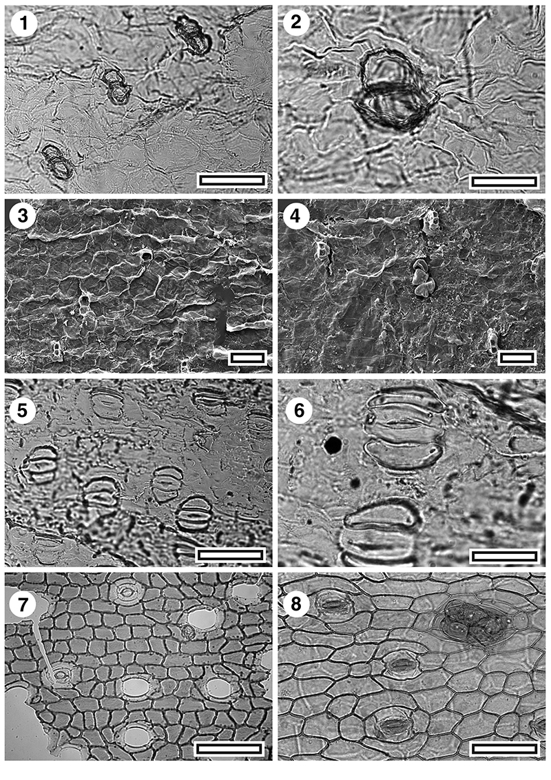 figure11