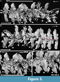 s figure3a