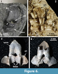 s figure6