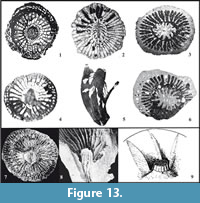 s figure13