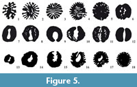 s figure5