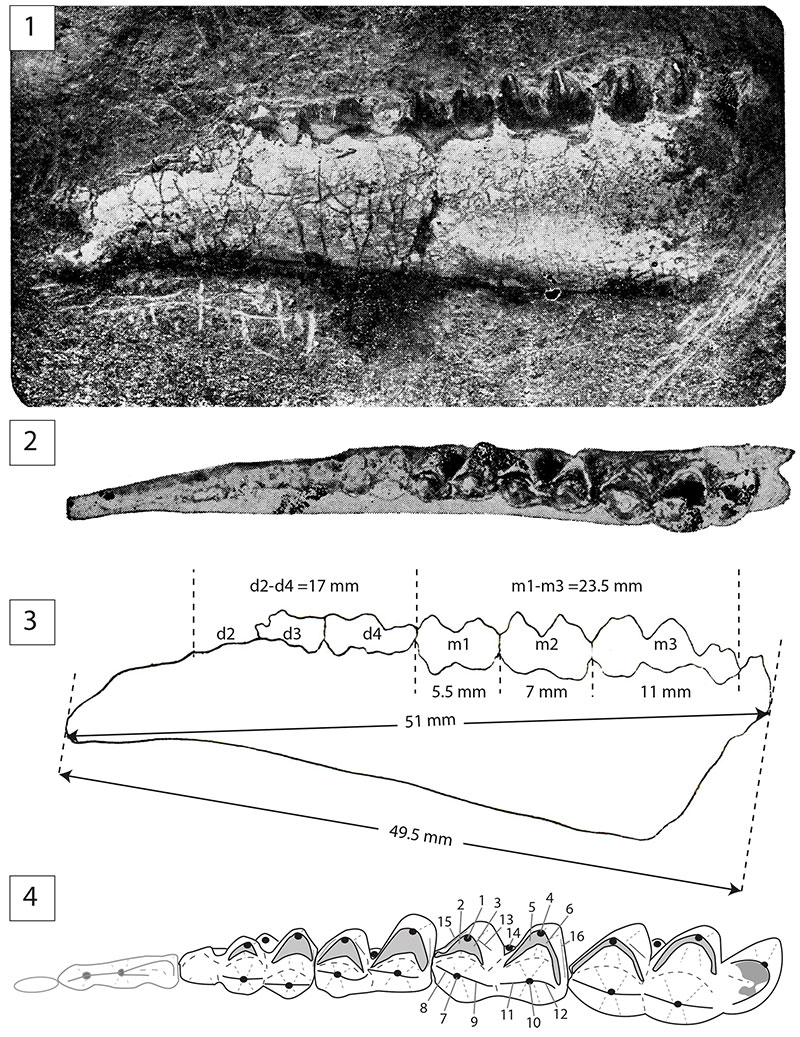 figure2