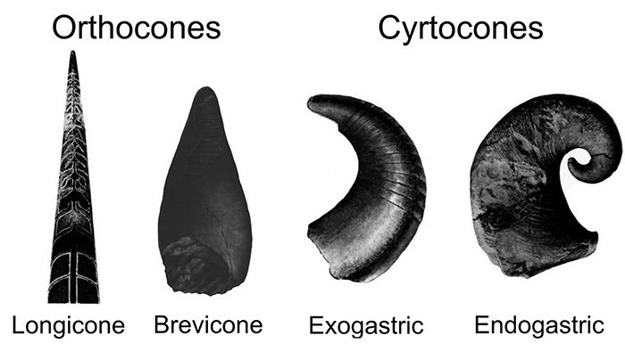 figure1