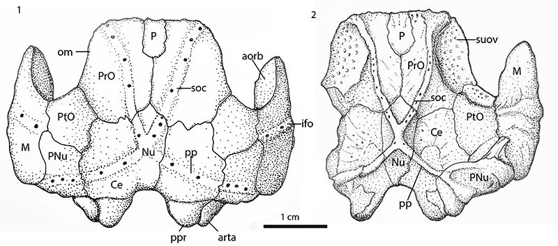 figure4