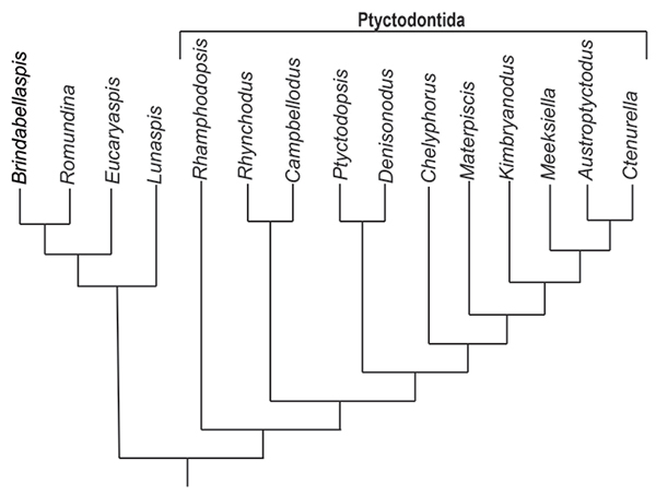 figure9