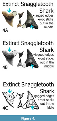 s figure4