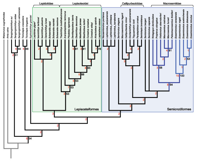 fig24