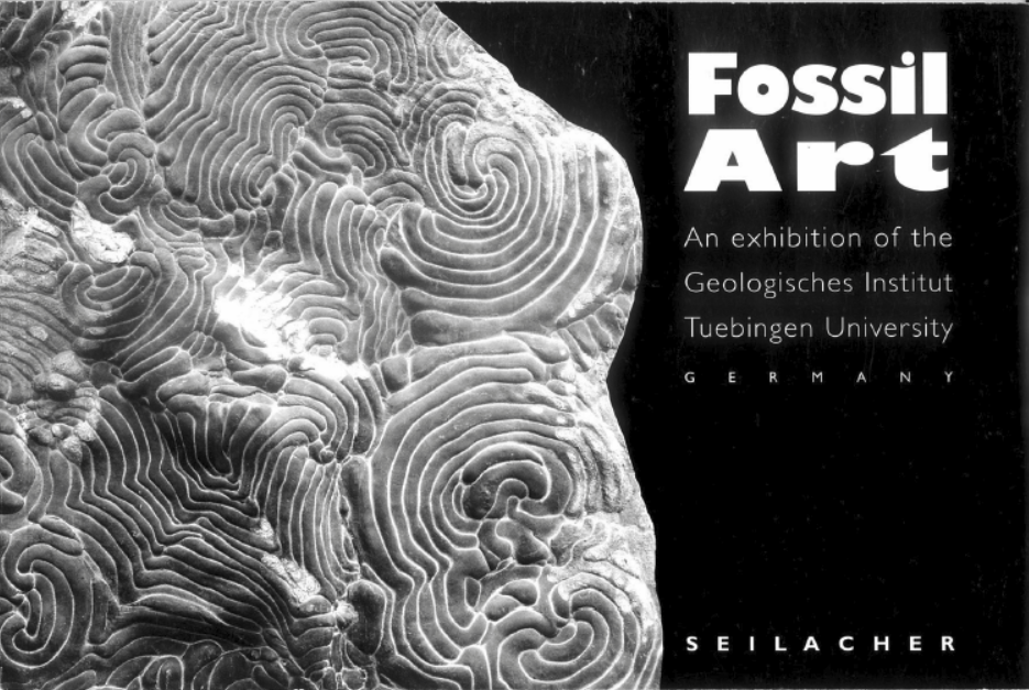 Fossil Art