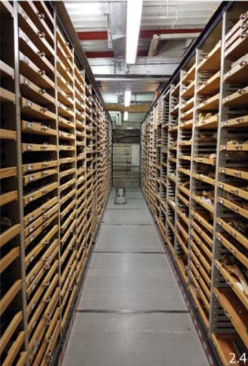 Specimen Storage