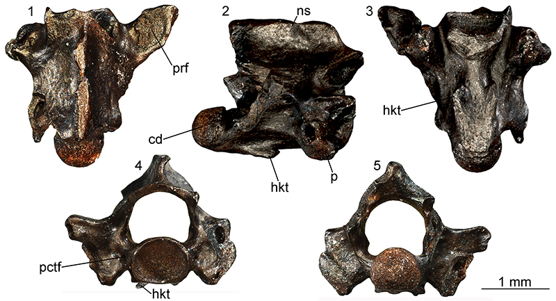 figure22