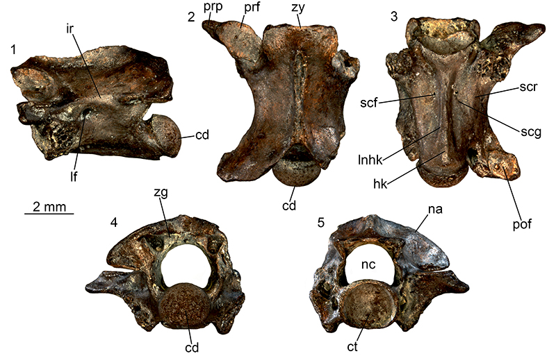 figure27