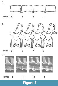 s figure5