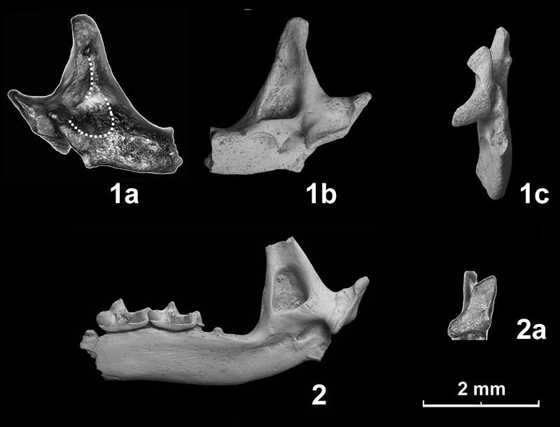 figure10