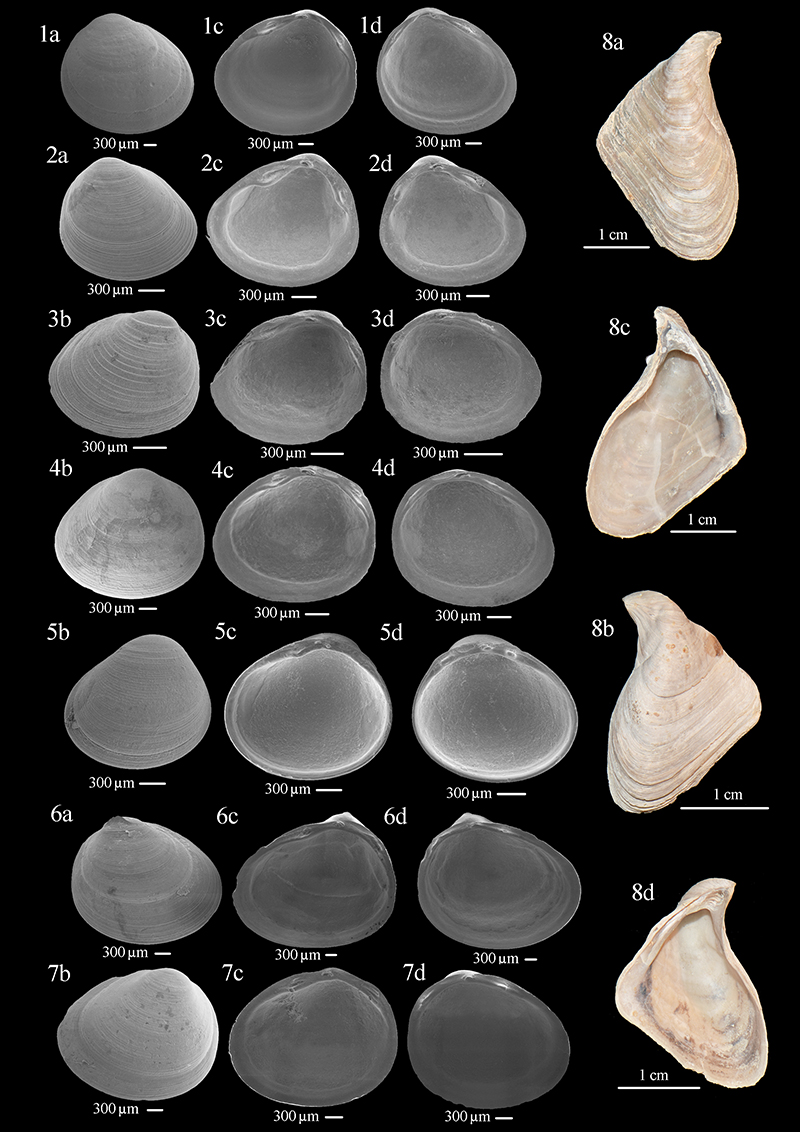 figure5