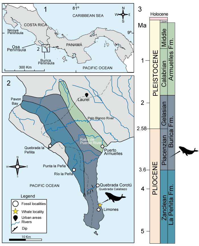 figure1a