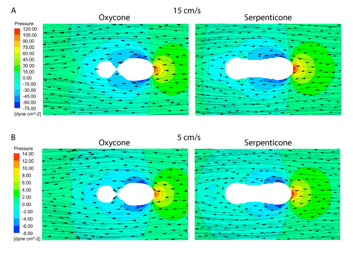 figure11