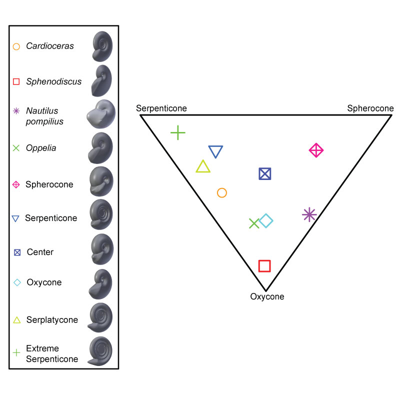 figure2