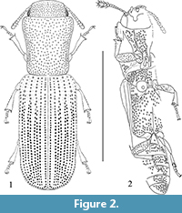 s figure2