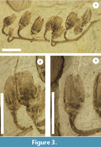 s figure3