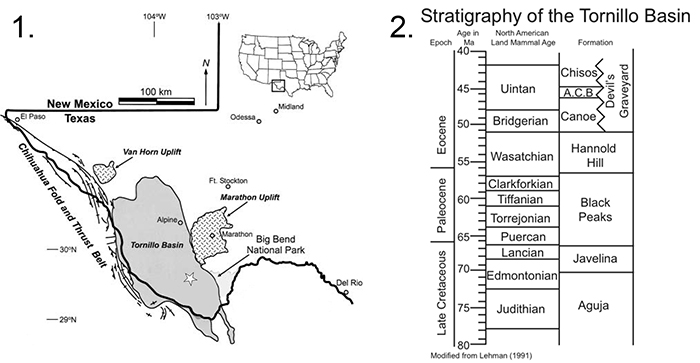 figure1