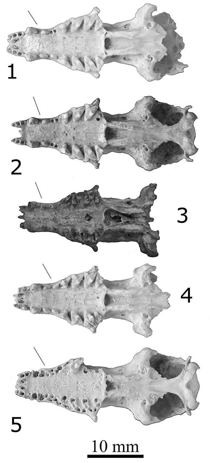 figure7