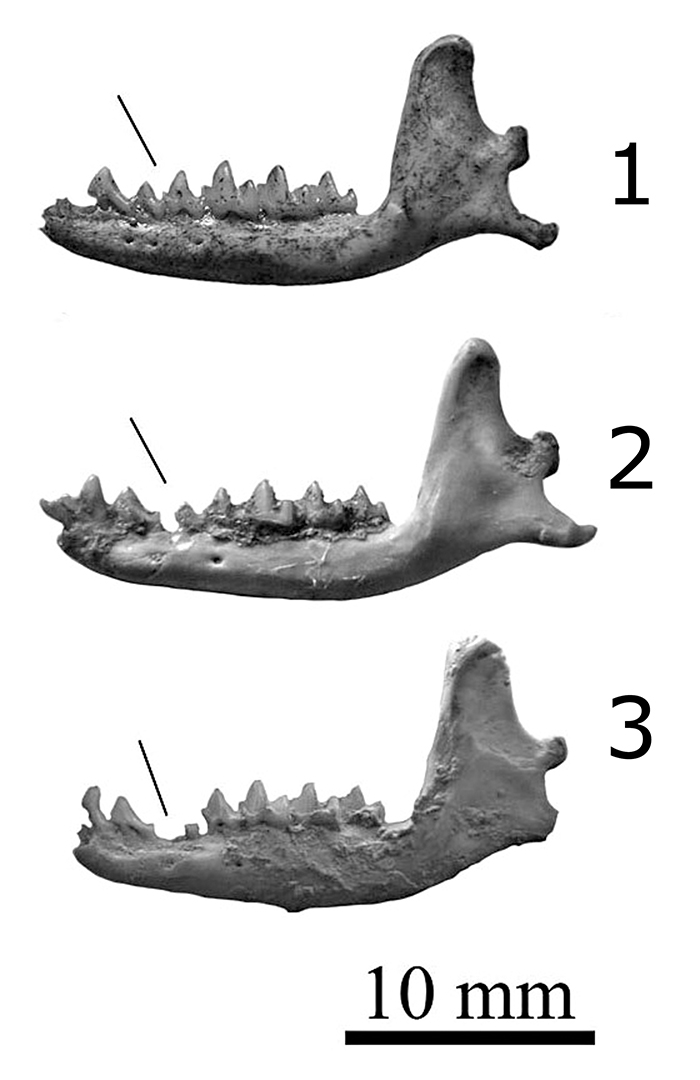 figure9