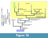 s figure10