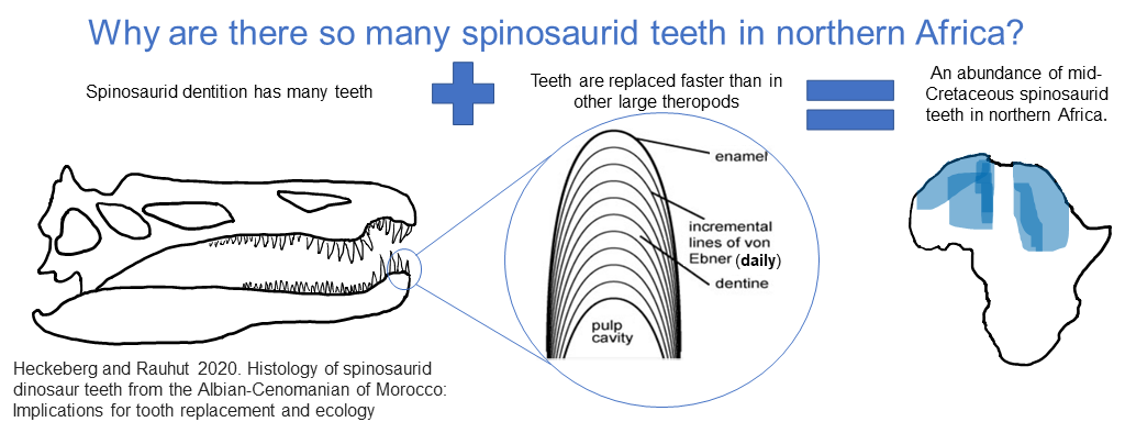 Nelson PE Visual Abstract Submission