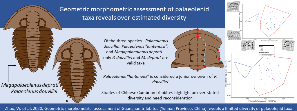 PalaeoE25 BIRKSMITH