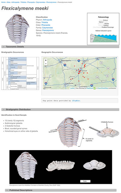 s atlas fig1