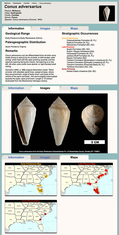 s atlas fig2