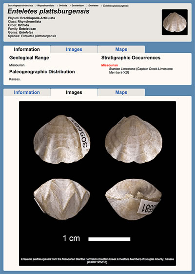 s atlas fig3